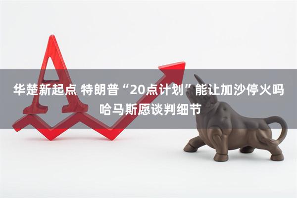 华楚新起点 特朗普“20点计划”能让加沙停火吗 哈马斯愿谈判细节